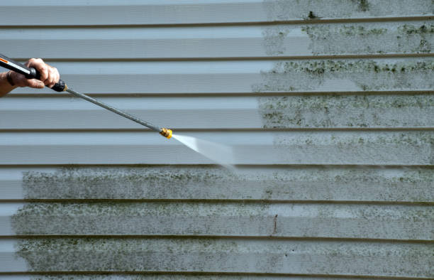 Best Roof Washing  in Mount Pleasant, UT